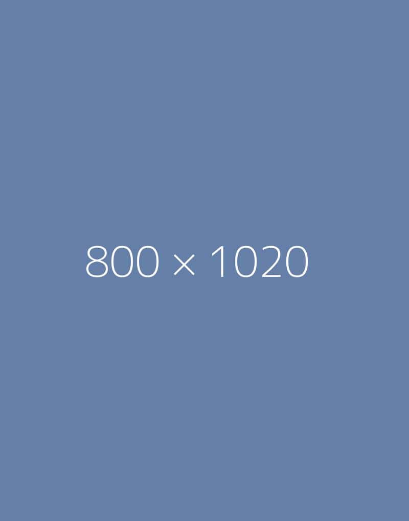 hongo 800×1020-a-ph
